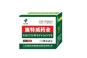 纸盒