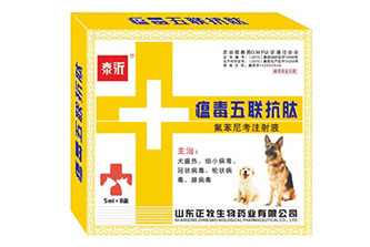 纸盒