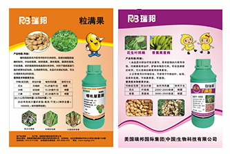 彩页设计印刷