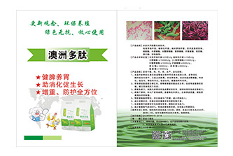 彩页设计印刷