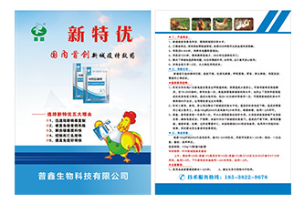 彩页设计印刷