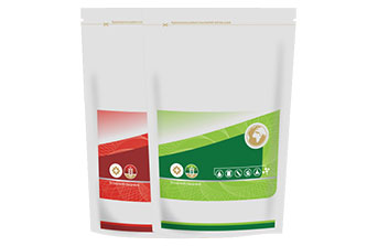自立袋绿（红）100g